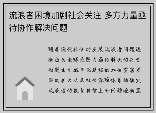 流浪者困境加剧社会关注 多方力量亟待协作解决问题